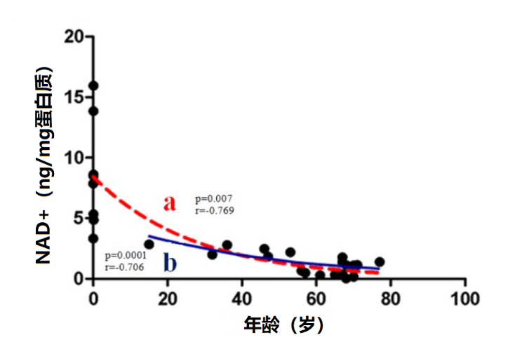 如图片无法显示，请刷新页面